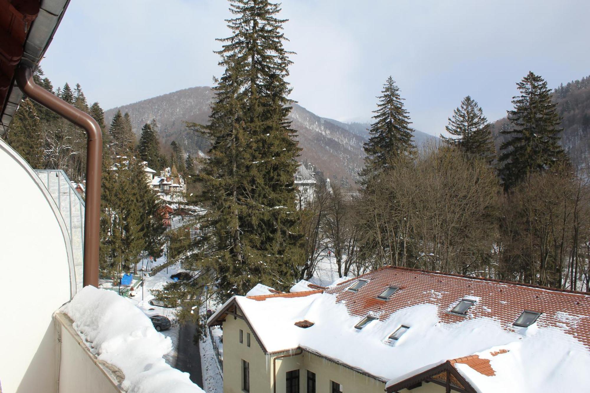 Central Park View Sinaia Exterior foto