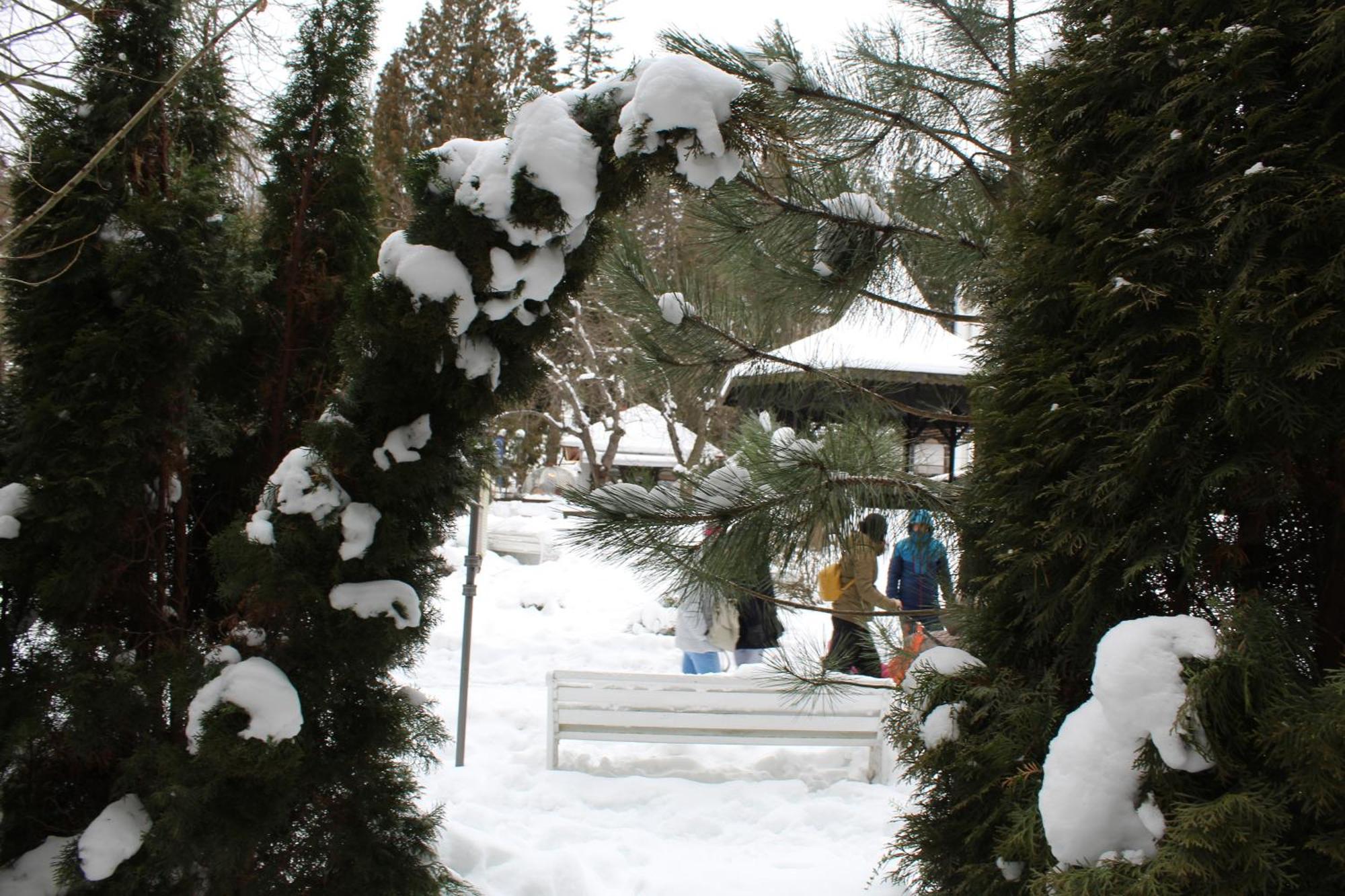 Central Park View Sinaia Exterior foto
