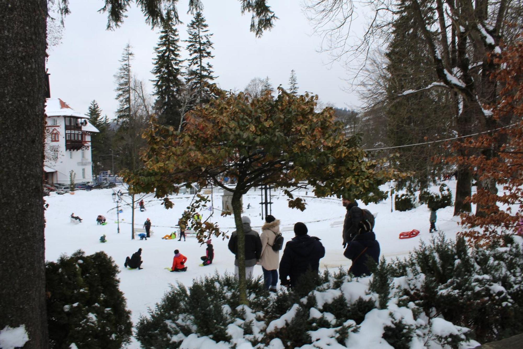 Central Park View Sinaia Exterior foto