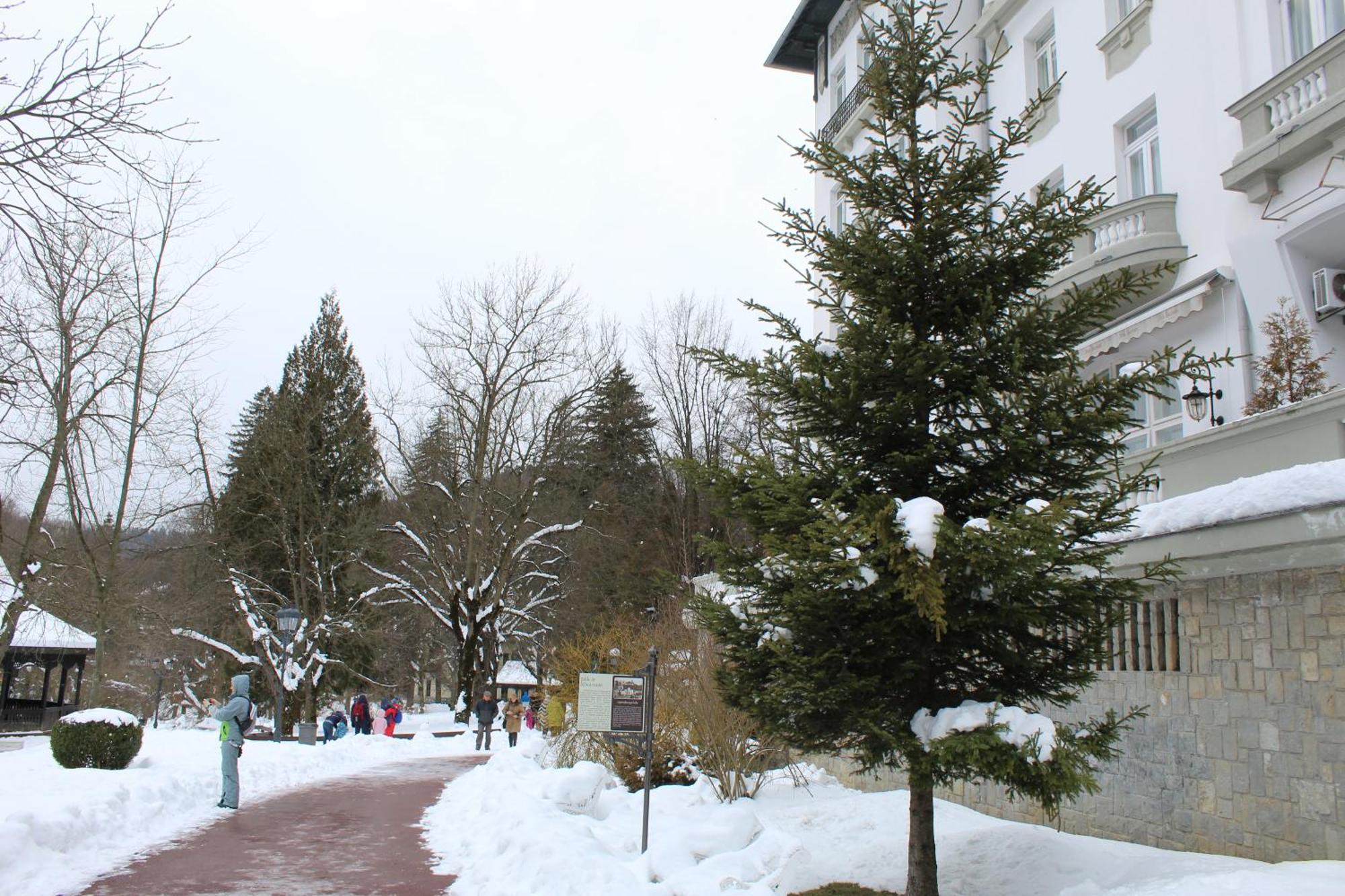 Central Park View Sinaia Exterior foto